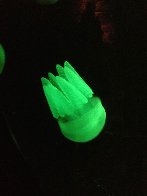 SEA LIFE Sydney Aquarium Entrance Ticket - Sunshine Coast Tourism 2