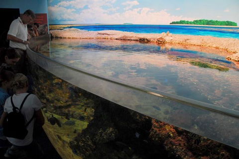 SEA LIFE Sydney Aquarium Entrance Ticket - Sunshine Coast Tourism 24