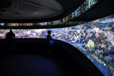 SEA LIFE Sydney Aquarium Entrance Ticket - Sunshine Coast Tourism 23