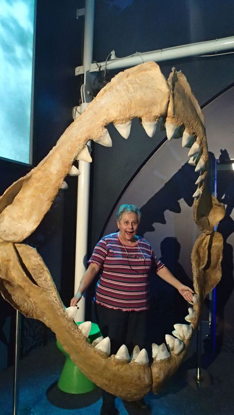 SEA LIFE Sydney Aquarium Entrance Ticket - Sunshine Coast Tourism 3