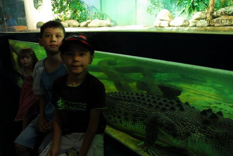 SEA LIFE Sydney Aquarium Entrance Ticket - Sunshine Coast Tourism 22