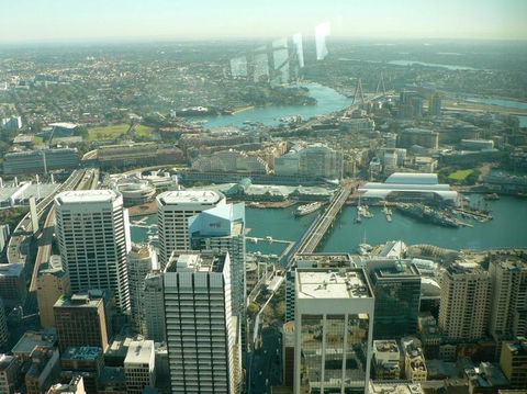 Sydney Pass: SEA LIFE Aquarium, Sydney Tower Eye, WILD LIFE Sydney, Sydney Harbour Cruise, And Madame Tussauds - Sunshine Coast Tourism 16