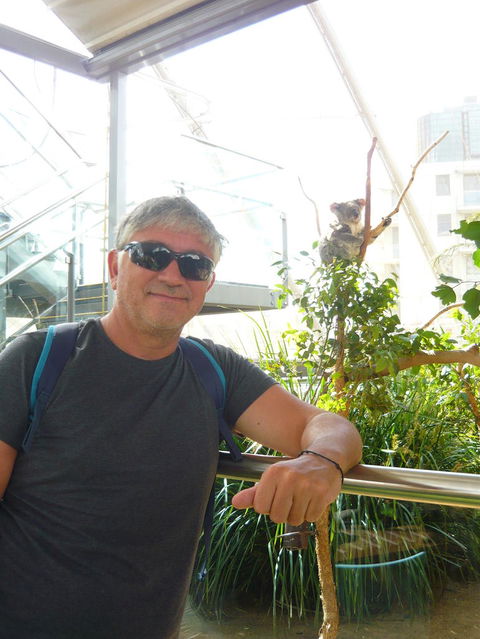 Sydney Pass: SEA LIFE Aquarium, Sydney Tower Eye, WILD LIFE Sydney, Sydney Harbour Cruise, And Madame Tussauds - Sunshine Coast Tourism 3