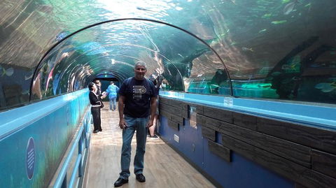 Sydney Pass: SEA LIFE Aquarium, Sydney Tower Eye, WILD LIFE Sydney, Sydney Harbour Cruise, And Madame Tussauds - Sunshine Coast Tourism 5