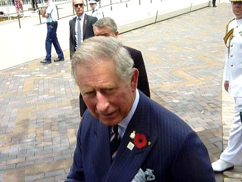 Sydney Pass: SEA LIFE Aquarium, Sydney Tower Eye, WILD LIFE Sydney, Sydney Harbour Cruise, And Madame Tussauds - Sunshine Coast Tourism 22