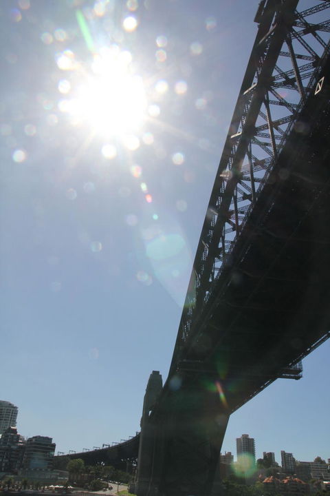 Sydney Pass: SEA LIFE Aquarium, Sydney Tower Eye, WILD LIFE Sydney, Sydney Harbour Cruise, And Madame Tussauds - Sunshine Coast Tourism 20