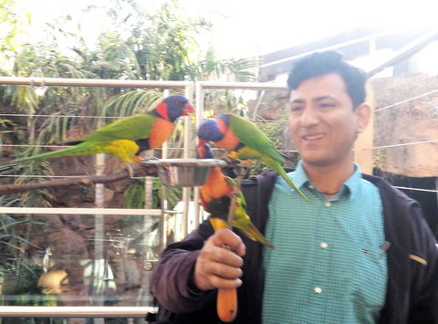 Sydney Pass: SEA LIFE Aquarium, Sydney Tower Eye, WILD LIFE Sydney, Sydney Harbour Cruise, And Madame Tussauds - Sunshine Coast Tourism 7