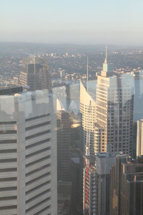 Sydney Pass: SEA LIFE Aquarium, Sydney Tower Eye, WILD LIFE Sydney, Sydney Harbour Cruise, And Madame Tussauds - Sunshine Coast Tourism 18