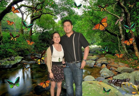 Sydney Pass: SEA LIFE Aquarium, Sydney Tower Eye, WILD LIFE Sydney, Sydney Harbour Cruise, And Madame Tussauds - Sunshine Coast Tourism 11