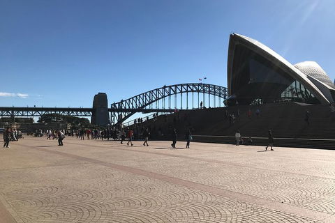 Fantastic Race Sydney - Sunshine Coast Tourism 1