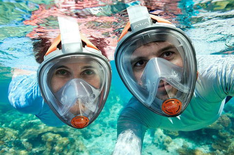 Sydney 3-Hour Snorkeling Tour - Sunshine Coast Tourism 1