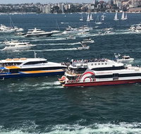 Australia Day Sydney Harbour Cruise - Sunshine Coast Tourism