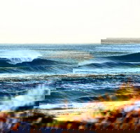 7-Day Byron Bay Evans Head and Moonee Beach Surf Safari from Brisbane Gold Coast or Byron Bay - Sunshine Coast Tourism