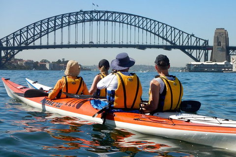 Kayak To Goat Island In Sydney Harbour With Local - Holiday Sunshine Coast 7