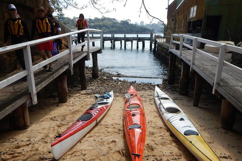 Kayak To Goat Island In Sydney Harbour With Local - Holiday Sunshine Coast 11