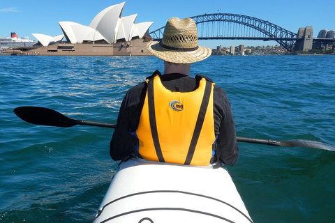 Kayak To Goat Island In Sydney Harbour With Local - Holiday Sunshine Coast 6