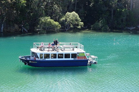 Brunswick Heads Rainforest Eco-Cruise - Sunshine Coast Tourism 0