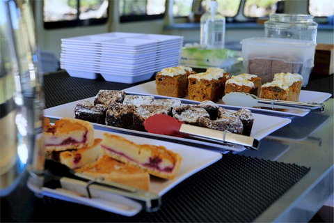 Brunswick Heads Rainforest Eco-Cruise - Sunshine Coast Tourism 4