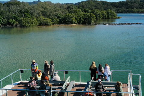 Brunswick Heads Rainforest Eco-Cruise - Sunshine Coast Tourism 8