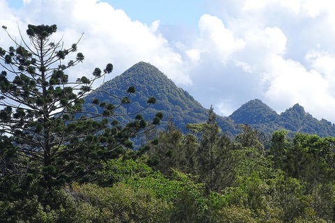 Brunswick Heads Rainforest Eco-Cruise - Sunshine Coast Tourism 3