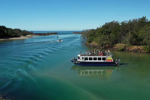 Brunswick Heads Rainforest Eco-Cruise - Sunshine Coast Tourism 2