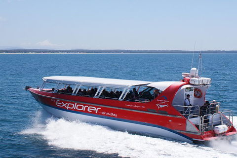 Whale Watching Jervis Bay - Sunshine Coast Tourism 1