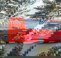 SkyBus Byron Bay Express - Sunshine Coast Tourism