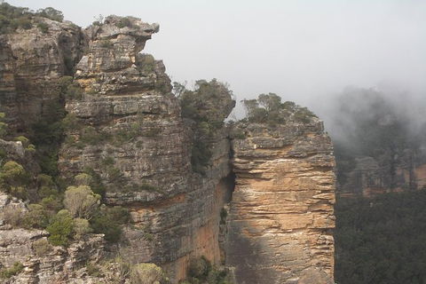 All-Day Blue Mountains Private Tour With Professional Guide For Up To 4 People - Sunshine Coast Tourism 11