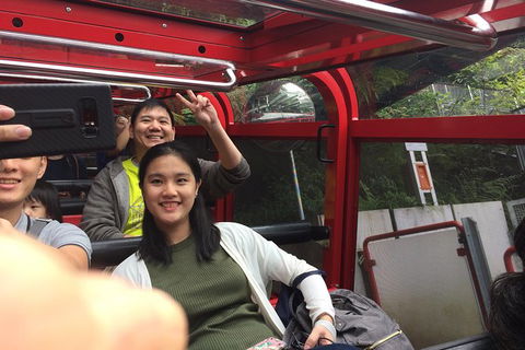 All-Day Blue Mountains Private Tour With Professional Guide For Up To 4 People - Sunshine Coast Tourism 15
