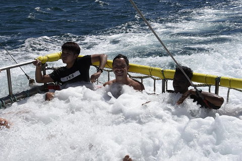 Jervis Bay Boom Netting And Dolphins Tour - Holiday Sunshine Coast 9