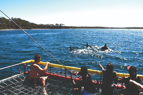 Jervis Bay Boom Netting And Dolphins Tour - Holiday Sunshine Coast 2