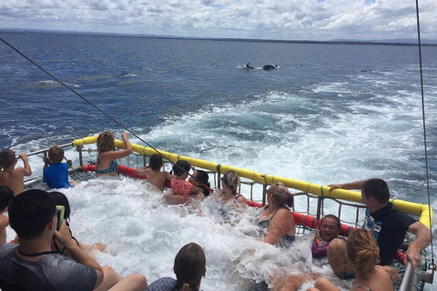 Jervis Bay Boom Netting And Dolphins Tour - Holiday Sunshine Coast 14
