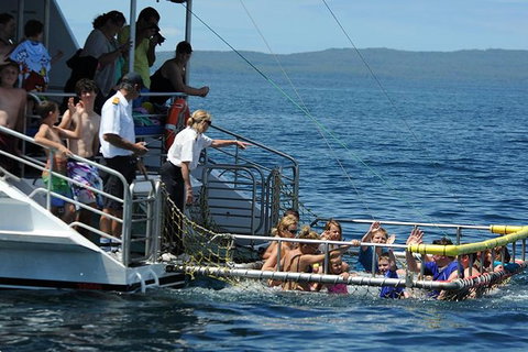 Jervis Bay Boom Netting And Dolphins Tour - Holiday Sunshine Coast 5