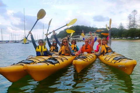 Half-Day Sydney Middle Harbour Guided Kayaking Eco Tour - Sunshine Coast Tourism 1