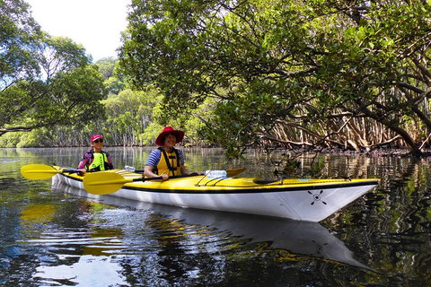 Half-Day Sydney Middle Harbour Guided Kayaking Eco Tour - Sunshine Coast Tourism 10