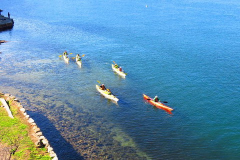 Half-Day Sydney Middle Harbour Guided Kayaking Eco Tour - Sunshine Coast Tourism 8