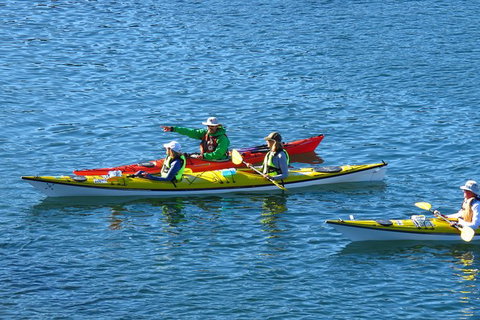 Half-Day Sydney Middle Harbour Guided Kayaking Eco Tour - Sunshine Coast Tourism 3