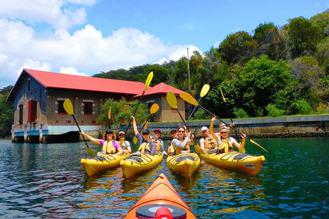 Half-Day Sydney Middle Harbour Guided Kayaking Eco Tour - Sunshine Coast Tourism 4