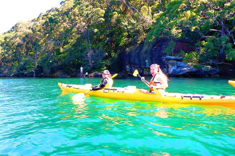 Half-Day Sydney Middle Harbour Guided Kayaking Eco Tour - Sunshine Coast Tourism 9