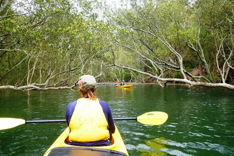 Half-Day Sydney Middle Harbour Guided Kayaking Eco Tour - Sunshine Coast Tourism 2
