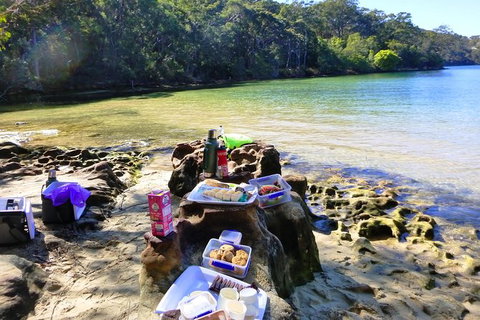 Half-Day Sydney Middle Harbour Guided Kayaking Eco Tour - Sunshine Coast Tourism 6