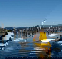 Batemans Bay Oyster Tasting Kayak Tour - Holiday Sunshine Coast