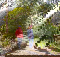 Arthurs Seat Circuit Walk - Sunshine Coast Tourism