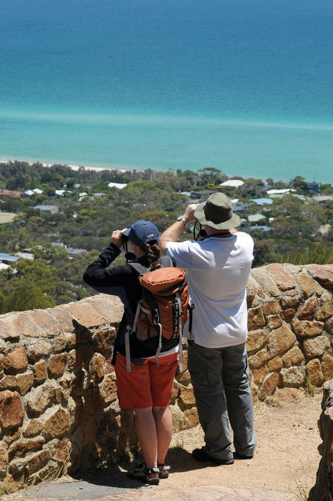 Arthurs Seat State Park - Sunshine Coast Tourism 2