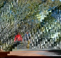 Arthur River - Sunshine Coast Tourism