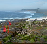 Bibbulmun Track - Sunshine Coast Tourism
