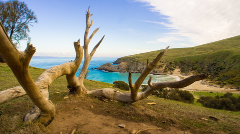 Blowhole Beach - Sunshine Coast Tourism 0