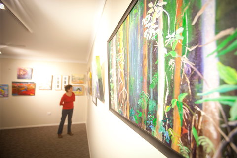 Bluebelles Art Gallery - Holiday Sunshine Coast 1