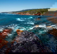 Boyds Tower to Saltwater Creek Walking Track - Sunshine Coast Tourism