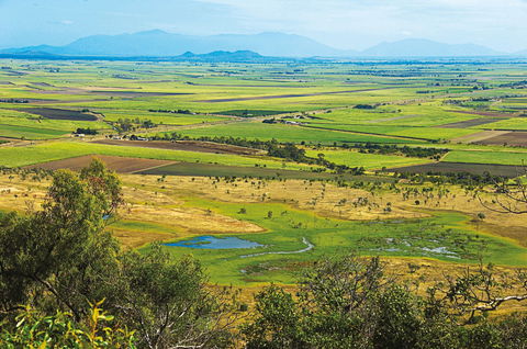 Burdekin - Holiday Sunshine Coast 1